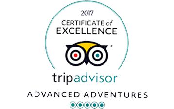 trip advisor ratings