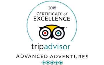 Trip Advisor Excellence certificate Advanced Adventures