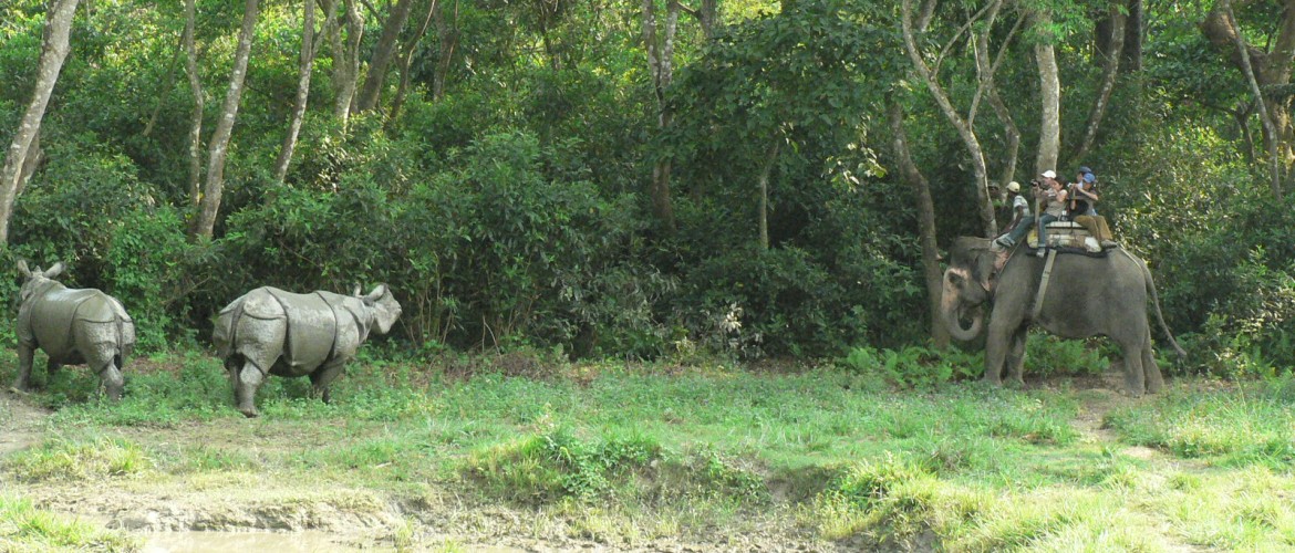 Chitwan National Park Wildlife Tour