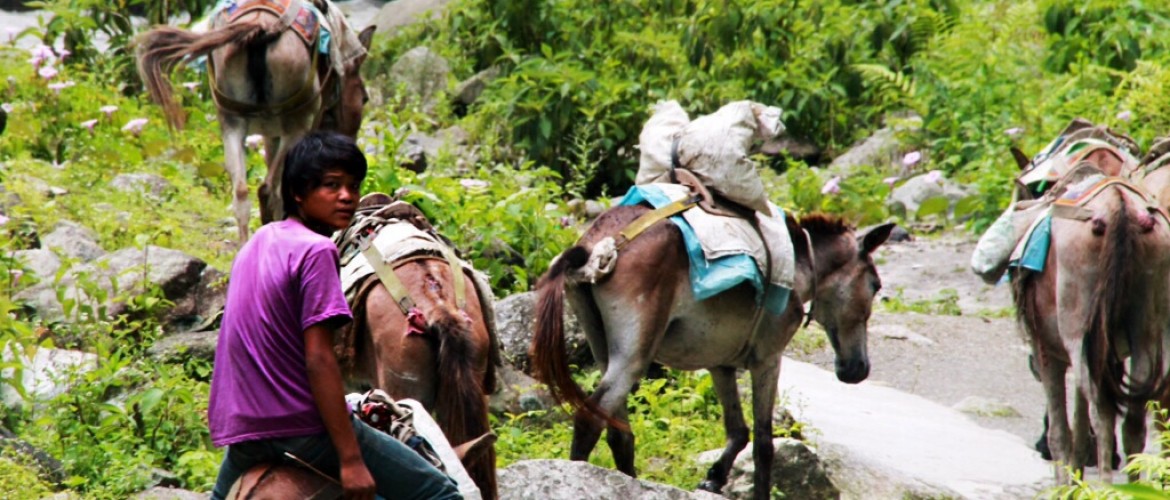 Upper Dolpo Trek