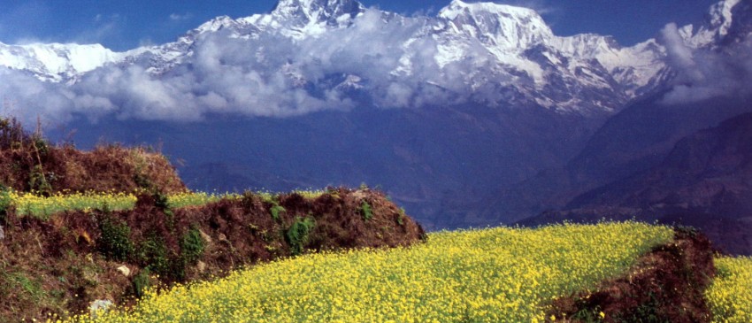 Authentic Nepal 