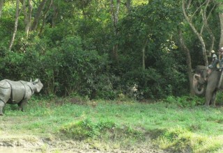 Chitwan National Park Wildlife Tour