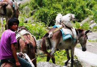 Upper Dolpo Trek