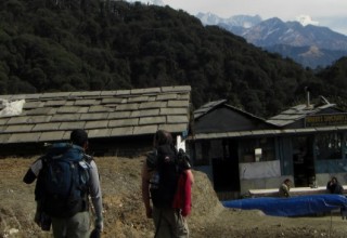 Ghorepani Poon Hill Trekking- Short Trek